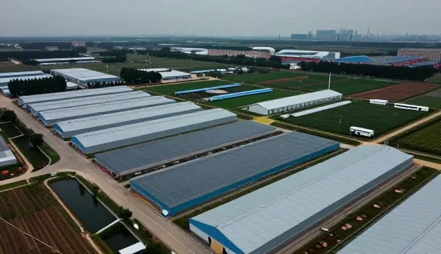 后勤服务中的常见问题及应对策略